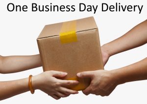 one-business-day-delivery