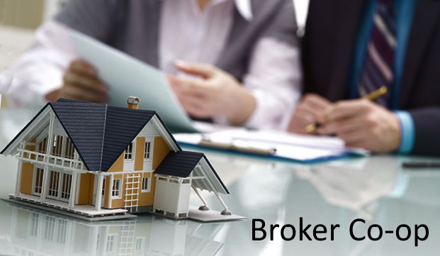 broker-co-op-meaning-trader-group